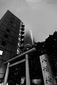 Beyond The Clouds, Tokyo