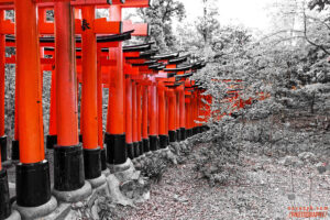 Fushimi Inari, Kyoto