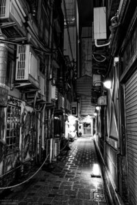 Organic Street, Osaka