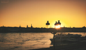 Golden Light, Bordeaux